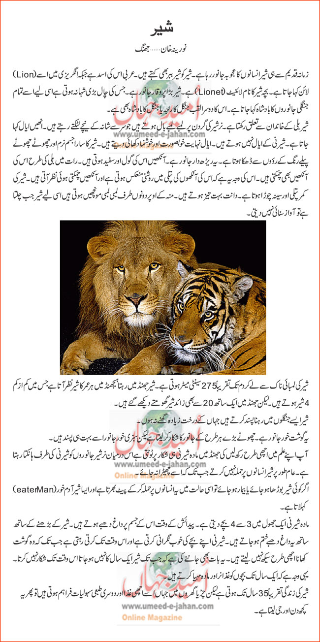 essay on lion in urdu