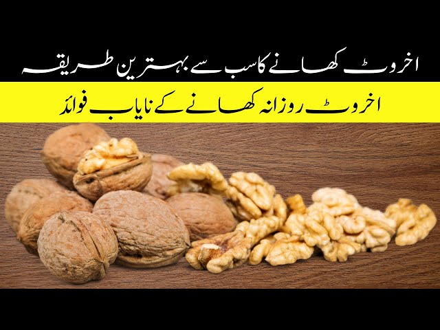 Walnuts Benefits in Urdu